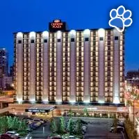 Crowne Plaza - Chicago West Loop, an IHG Hotel es un hotel que admite mascotas en Chicago